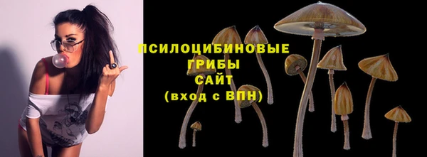 дживик Алексеевка